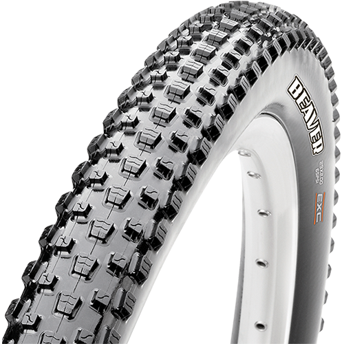 Ελαστικά Maxxis Beaver 29x2,00 EXO - TR (Διπλωτά)